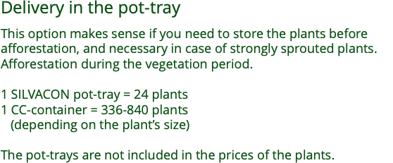 Delivery in the pot-tray  This option makes sense if you need to store the plants before afforestation, and necessary in case of strongly sprouted plants. Afforestation during the vegetation period. 1 SILVACON pot-tray = 24 plants 1 CC-container = 336-840 plants (depending on the plant’s size) The pot-trays are not included in the prices of the plants.